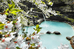 山桜を愛でながらの大野天風呂