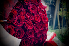 108本のバラで贈るプロポーズプラン～永遠の愛を形に～