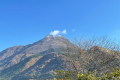 館外風景