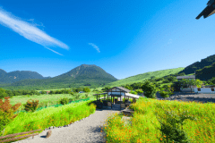 自然いっぱいの敷地内