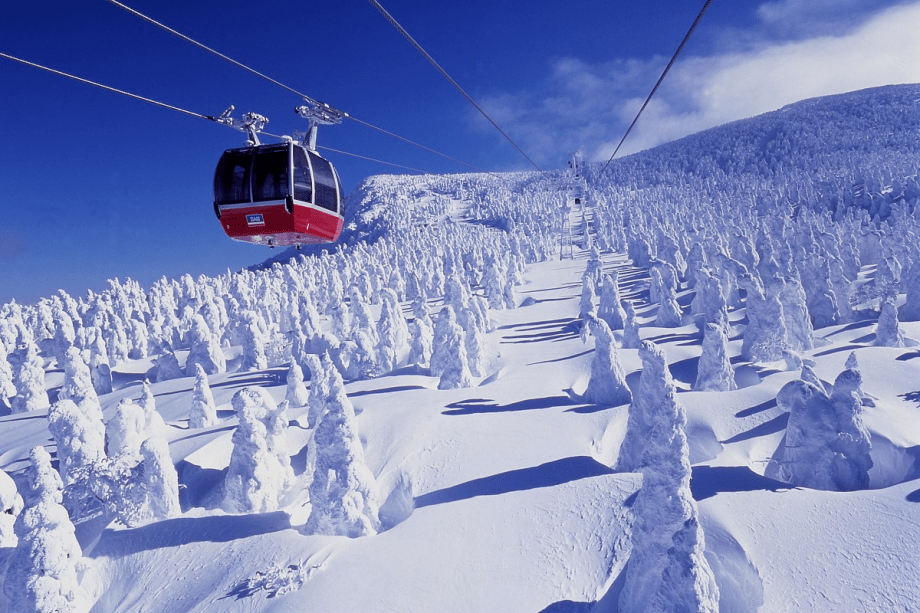 世界でも類を見ない「蔵王の樹氷」　ロープウェイでは雪原を一望出来ます