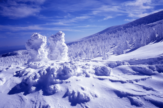 スノーモンスターと呼ばれる蔵王の樹氷。世界でも類を見ない氷と雪の芸術