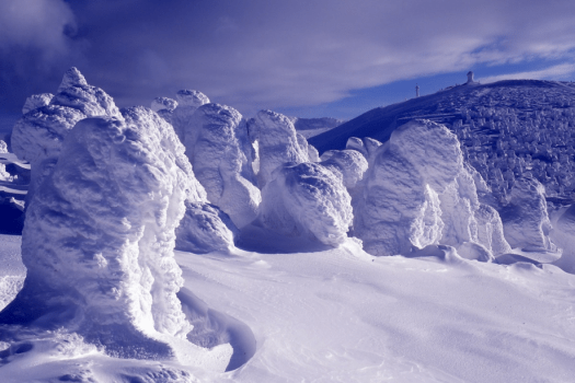 【今だけの樹氷尽くし旅】THE JYUHYOU★樹氷ドリンクに樹氷ロマン付♪オプションで樹氷鑑賞〇アルコール付