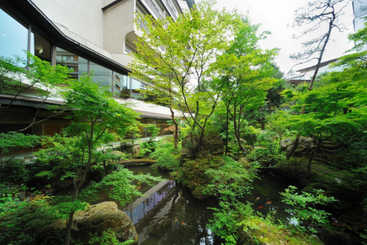 上山城外濠跡の日本庭園「仙渓園」　１５代当主から代々受け継がれて来た当館の自慢の１つです。