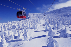 世界でも類を見ない「蔵王の樹氷」　ロープウェイでは雪原を一望出来ます