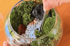 山形の苔でつくる♪小さな森-苔テラリウムー 山形の苔でつくる♪小さな森-苔テラリウムー
