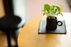 通常プランはチェックイン１５：００　チェックアウト１０：００となります。