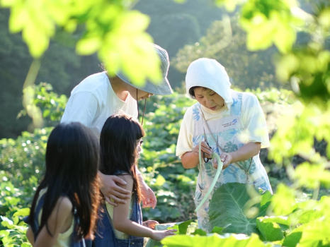 集落の営みが教えてくれる「ほんとうの豊かさ」。森のくらしに触れ、自然に溶け込むプラン！1泊2食付
