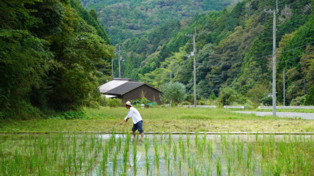 【1日1組限定】自然栽培家きんたろうと一緒に♪森の国ValleYの暮らしまるごと体験プラン1泊2食
