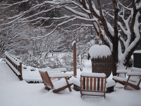 【冬季限定】静けさを楽しむ &ldquo;ウィンターステイ&rdquo; 1泊2食付