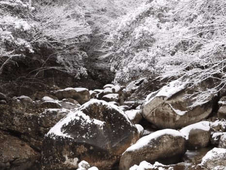 【冬季限定】静けさを楽しむ &ldquo;ウィンターステイ&rdquo; 1泊2食付