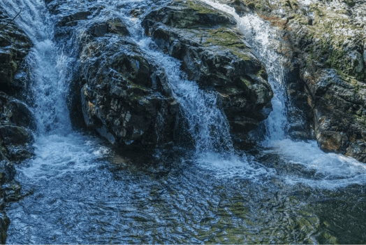 【名店「海舟」が手がける】 愛媛のローカルキュイジーヌ体験プラン