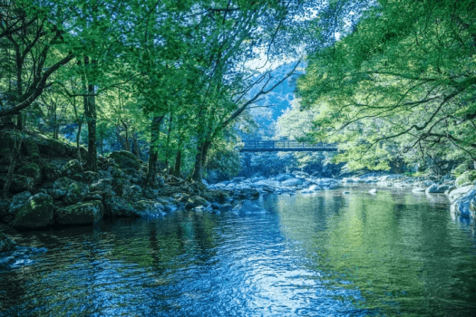 【名店「海舟」が手がける】 愛媛のローカルキュイジーヌ体験プラン