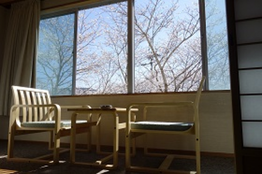 春・和室の桜 春・和室の桜