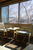 春・和室の桜 春・和室の桜