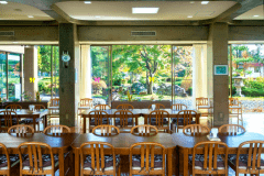 食堂からお庭を望む