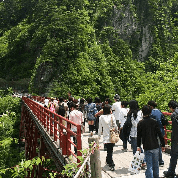 延対寺荘 プランの詳細 グループプラン みんな集まれ大部屋 4名以上のグループ 男子会 女子会 男女混合 4つの特典付