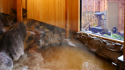 [Open-air baths in the special room][kuon]Breakfast + Dinner Included plan