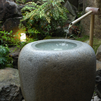 中庭の風景