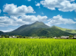 晴れた日、牧場の家の目の前は凛々しくそびえ立った由布岳と、のどかな田園風景が広がっております。