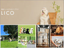 【ワンちゃんは提携のペットホテルでお預り◎安心プラン】