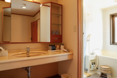 洗面化粧台：ドライヤー・化粧水・乳液・整髪料。バス：ボディソープ・リンスインシャンプー