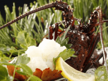 伊勢海老のお造り