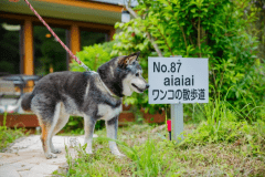 たびの邸宅 aiaiai 2nd ワンコの散歩道【ペット可】（一戸建て約107平米／最大6名まで）