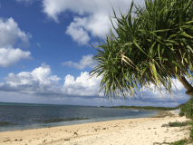 【スタンダードプラン】海岸まで徒歩1分！備瀬のフクギ並木の中に建つ貸別荘。ファミリーにうれしい広々約97平米。たびの邸宅 沖縄備瀬