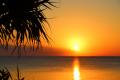 1 minute walk to the coast! A rental villa built in the middle of a row of Fukugi trees in Bise. Approximately 97 square meters of spacious space suitable for families