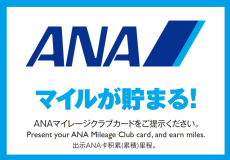 【マイルが貯まる★ANA限定！】米子鬼太郎空港のラウンジ利用券付き☆山陰を満喫した後はホッと一息～夕食バイキング