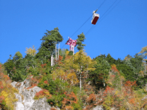 【11/1～3/31■駒ヶ岳ロープウェイ＆バス往復チケット付きプラン】雲上の千畳敷カールへ【朝夕・個室料亭】