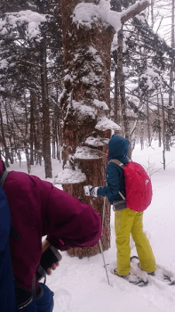 冬の上高地トレッキング
