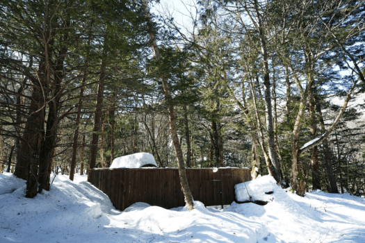 森の中のサウナエリア