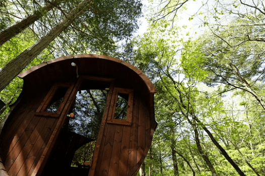 森の貸切バレルサウナ11：00～13：00