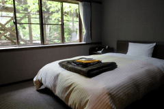 デラックスシングル