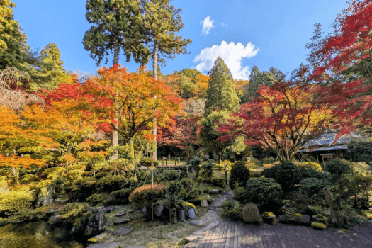 【庭園 秋】秋は庭園の紅葉をお楽しみいただけます 【庭園 秋】秋は庭園の紅葉をお楽しみいただけます