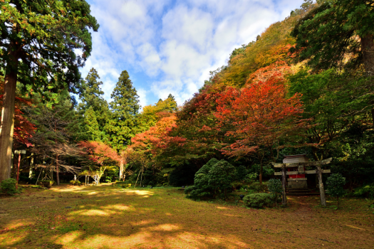 秋は庭園の紅葉をお楽しみいただけます