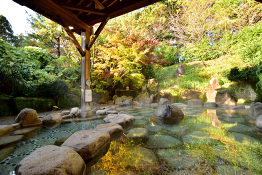 【大露天風呂　秋】紅葉に囲まれた秋の大露天風呂