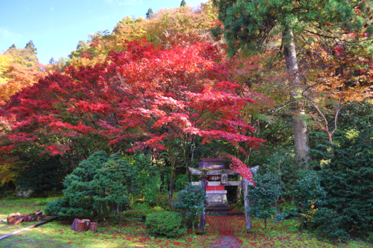 庭園　長生館 秋の紅葉をどうぞお楽しみくださいませ