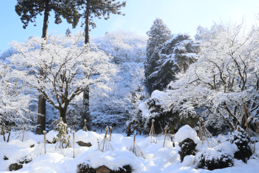 【庭園　冬】真っ白な雪に覆われる冬の情景