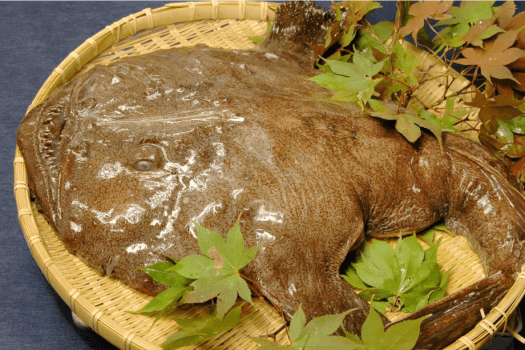 あんこうは「捨てるところがない魚」と呼ばれ、部位はそれぞれ異なる風味や食感を楽しむことができます