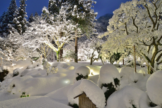 【雪景色】ライトアップされた夜の庭園