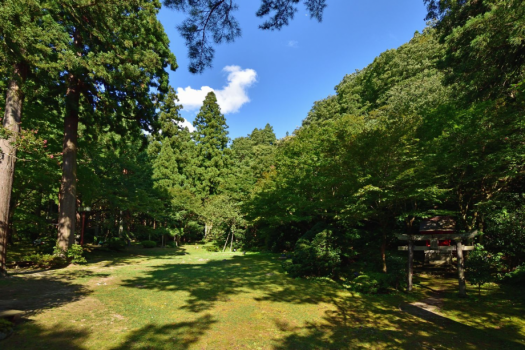 【庭園】四千坪の大庭園