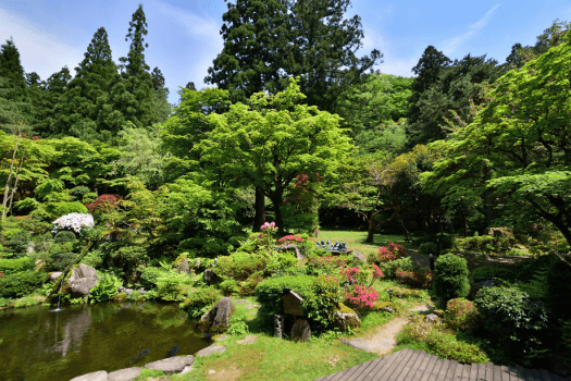 【庭園】長生館の大庭園