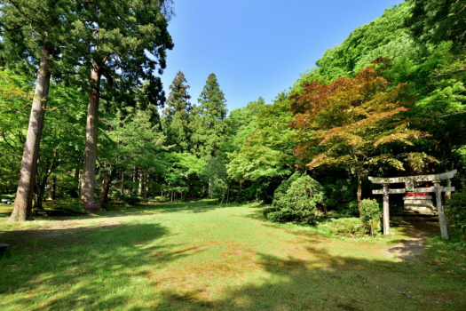 【庭園】広い庭園をぜひご散策ください