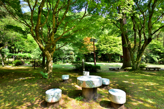 【庭園】四季の風を感じる長生館の庭園