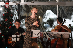 降り積もる雪を眺めながらのクリスマス♪