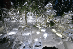 【本館客室】ライトアップされた夜の庭園