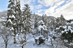 【本館客室】窓から見える庭園風景